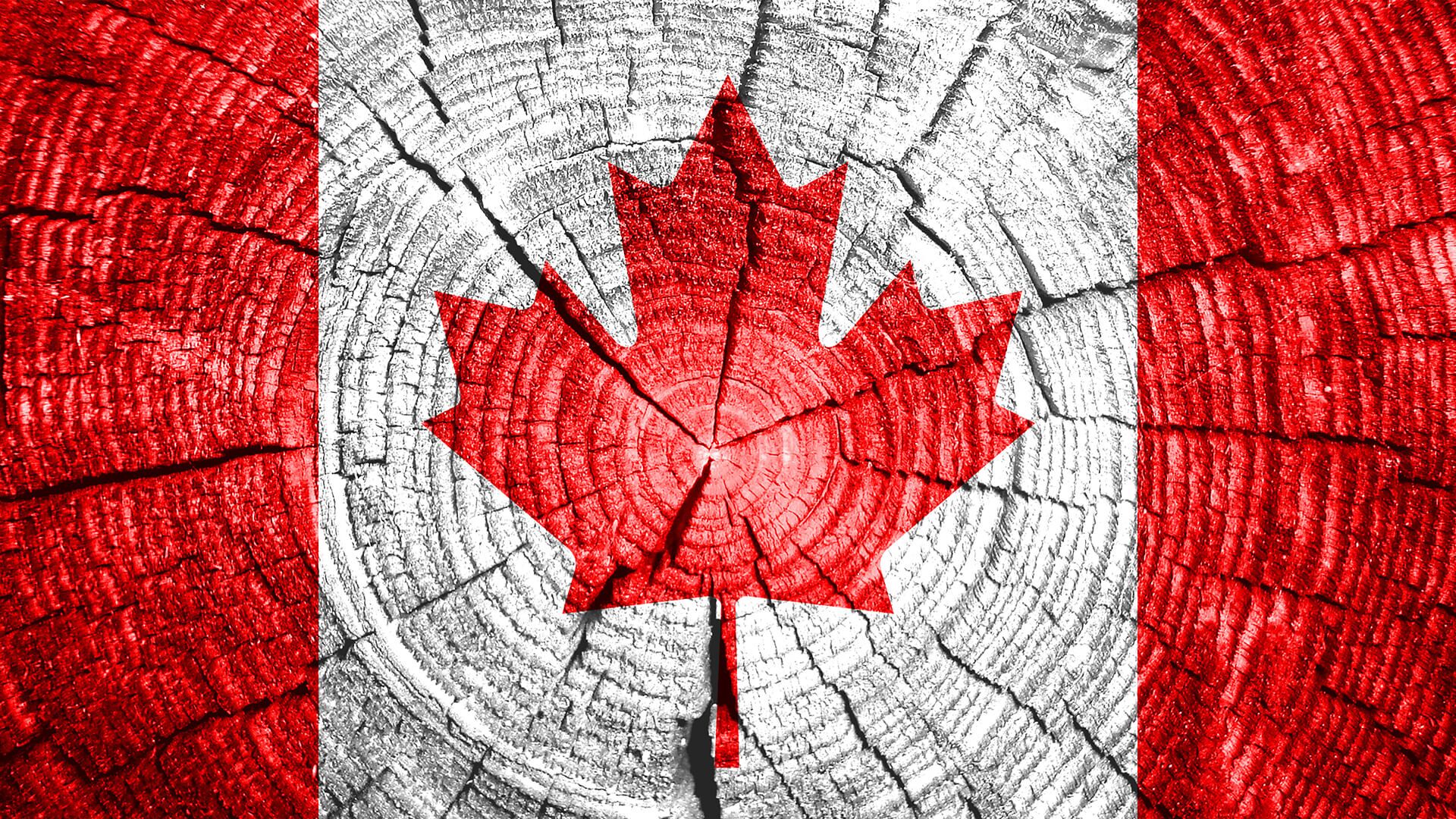 the canadian charter of rights and freedoms guarantees our right to