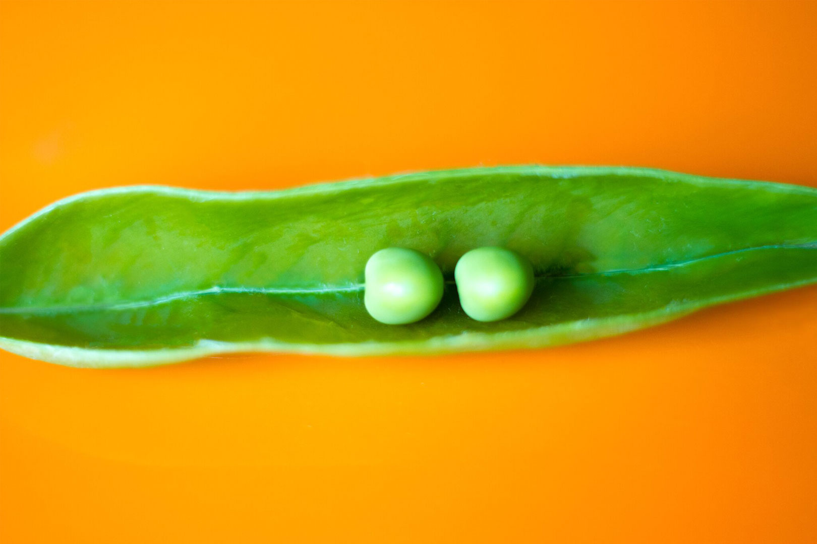 PR professionals and lawyers Oil and water or two peas in a pod